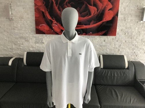 Lacoste classic fit - lacoste,